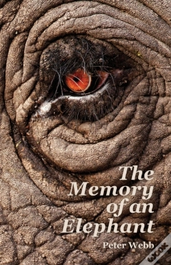 Capa do artigo The Memory Of An Elephant
