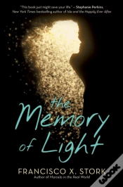 Capa do artigo The Memory Of Light