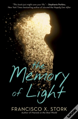 Capa do artigo The Memory Of Light