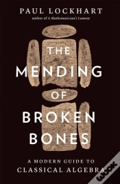 Capa do artigo The Mending Of Broken Bones