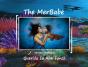 The Merbabe - Preview