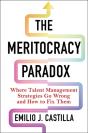 The Meritocracy Paradox - Preview