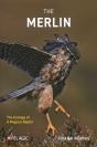 The Merlin - Preview