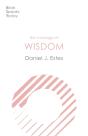 The Message Of Wisdom - Preview