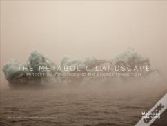 The Metabolic Landscape