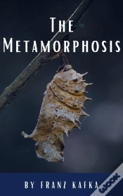 Capa do artigo The Metamorphosis