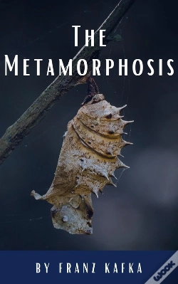 Capa do artigo The Metamorphosis