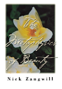 The Metaphysics Of Beauty - Preview