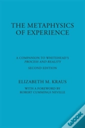 The Metaphysics Of Experience
