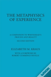 The Metaphysics Of Experience