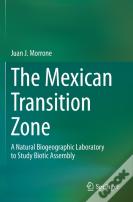 The Mexican Transition Zone