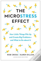 Capa do artigo The Microstress Effect