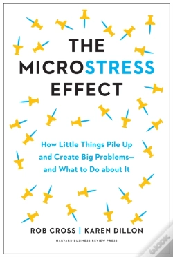 Capa do artigo The Microstress Effect