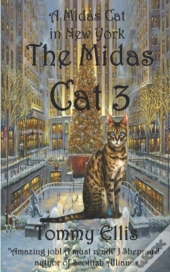 The Midas Cat 3