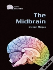 Capa do artigo The Midbrain