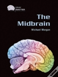 Capa do artigo The Midbrain