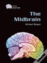 The Midbrain