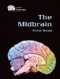 The Midbrain - Preview