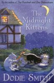 Capa do artigo The Midnight Kittens