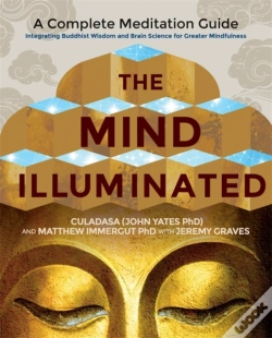 Capa do artigo The Mind Illuminated