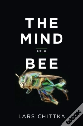 The Mind Of A Bee