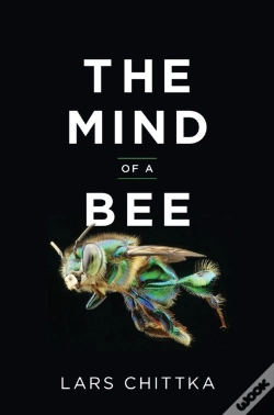 Capa do artigo The Mind Of A Bee