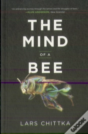 Capa do artigo The Mind Of A Bee