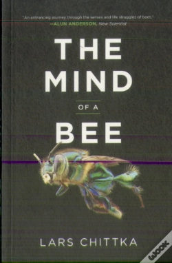Capa do artigo The Mind Of A Bee