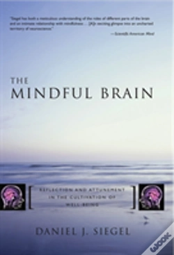 Capa do artigo The Mindful Brain