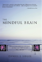 The Mindful Brain - Preview