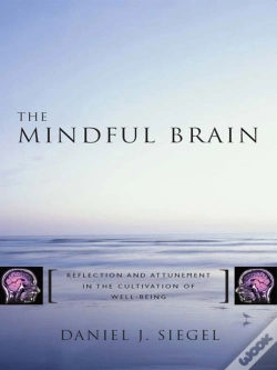 Capa do artigo The Mindful Brain