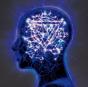 The Mindsweep - CD - Preview