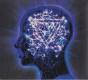 The Mindsweep - CD - Preview