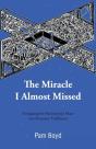 The Miracle I Almost Missed - Preview