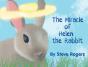 The Miracle Of Helen The Rabbit - Preview