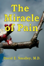 The Miracle Of Pain - Preview