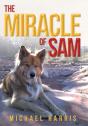 The Miracle Of Sam - Preview