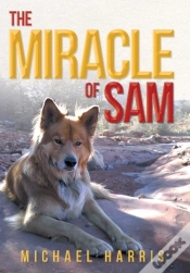 Capa do artigo The Miracle Of Sam