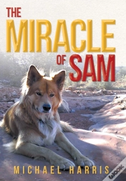 Capa do artigo The Miracle Of Sam