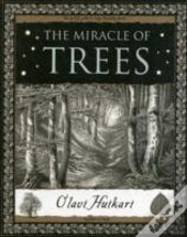 The Miracle Of Trees