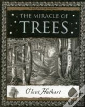 Capa do artigo The Miracle Of Trees