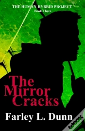 Capa do artigo The Mirror Cracks
