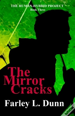 Capa do artigo The Mirror Cracks