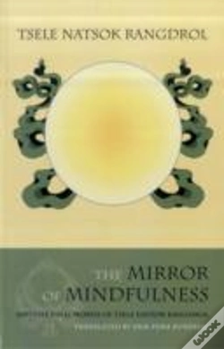 Capa do artigo The Mirror Of Mindfulness
