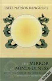 Capa do artigo The Mirror Of Mindfulness