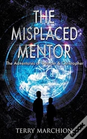 Capa do artigo The Misplaced Mentor