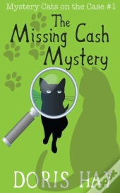 The Missing Cash Mystery