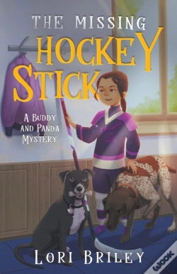 Capa do artigo The Missing Hockey Stick