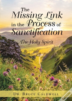 Capa do artigo The Missing Link In The Process Of Sanctification
