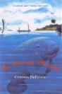 The Missing Manatee - Preview